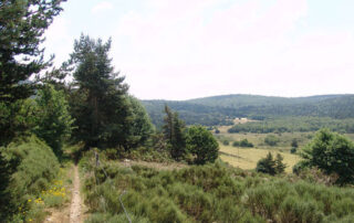 Chemin au dessus du Plagnal