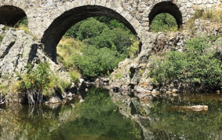 Flussangeln in den Ardèche-Bergen