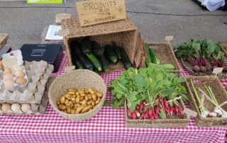 From farm to farm: Market gardening visit In the field of birds