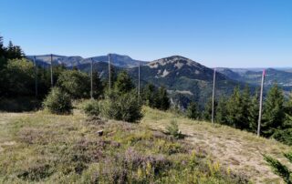 Exposition Gerbier-Mézenc – Grands sites, Grands paysages – une Montagne en partage