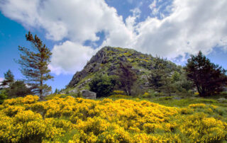 Gerbier-Mézenc-Ausstellung – Großartige Orte, großartige Landschaften – ein Berg zum Teilen