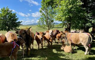 Fête du Fin Gras © Maison du Fin Gras