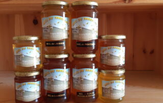 Apiculture - Miel du Tanargue - Grégory Michel