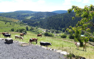 Gîte du prés plos