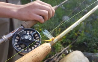 Baptême de Pêche à la Mouche © Julien Rochette