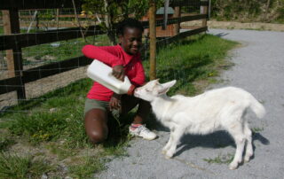 Parc animalier à Lussas