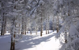 Aventure nordique montagne ardéchoise 2 © Olivier Mathis