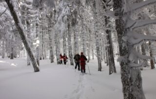 Aventure nordique montagne ardéchoise 3 © Olivier Mathis