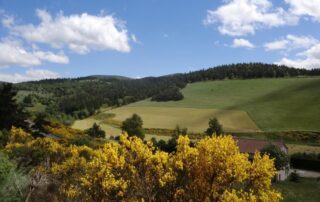 Gîtes Les Sapins