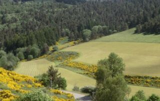 Gîtes Les Bruyères