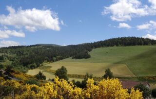 Gîtes Les Bruyères