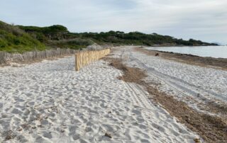 Nettoyons le Sud à Saint-Tropez_Saint-Tropez ©  Nettoyons le Sud