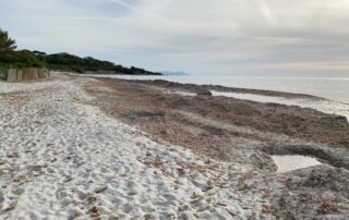 Nettoyons le Sud à Saint-Tropez_Saint-Tropez ©  Nettoyons le Sud