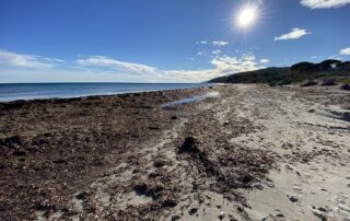 Nettoyons le Sud à Saint-Tropez_Saint-Tropez ©  Nettoyons le Sud