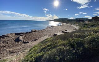 Nettoyons le Sud à Saint-Tropez_Saint-Tropez ©  Nettoyons le Sud