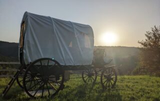 Les Petites Cahutes | La calèche western_Lafarre