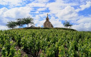 Trail des foulées beaujolaises – Trail Tour Beaujolais_Fleurie © DR Beaujolais Tourisme