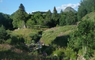 Gîte La Borne - Dominique JOUFFRE