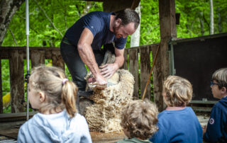 Fête de la Tonte © Ardelaine