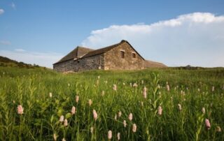 Ferme de Bourlatier Ferme de Bourlatier