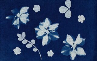 Gravure et cyanotype en salle Gravure et cyanotype en salle