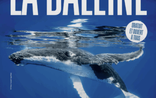 La Baleine_Nice