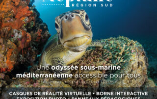 Projet Neptune : une odyssée sous-marine méditerranéenne accessible pour tous_La Londe-les-Maures