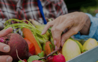 Mini-marché_Lanarce