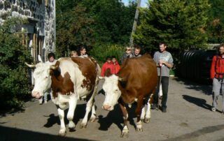 Découverte de la ferme pédagogique de Montmoulard