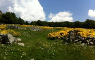Visite guidée de Sagnes et Goudoulet_Sagnes-et-Goudoulet