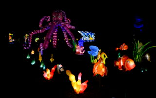L'Odysée lumineuse au Parc Floral de Paris