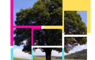 Ateliers créatifs sur l’arbre de Huédour Ateliers créatifs sur l’arbre de Huédour