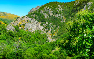 Tour de Borne_Borne © A.Renaud-Goud-ADT07