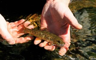 Parcours sans tuer toutes techniques La Loire © M.Rissoan-ADT07-COPIE INTERDITE