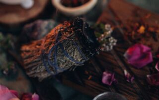 Atelier potion sauvage – Animation Nature Atelier potion sauvage – Animation Nature