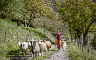 Ardelaine visite guidée © Scop Ardelaine Ardelaine visite guidée © Scop Ardelaine