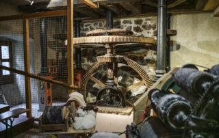 Ardelaine patrimoine vivant © Scop Ardelaine Ardelaine patrimoine vivant © Scop Ardelaine