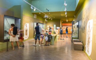 Aven d’Orgnac – Cité de la Préhistoire © @S. Baur - Aven d'Orgnac Aven d’Orgnac – Cité de la Préhistoire © @S. Baur - Aven d'Orgnac