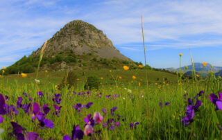 Le Mont Gerbier-de-Jonc