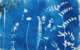 Cyanotype © Ekaterina - Pexels Cyanotype © Ekaterina - Pexels