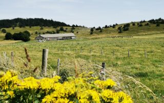 Ferme de Bourlatier_Sagnes-et-Goudoulet © OTMA_F.B-Gramayze