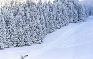 La Grande Odyssée aux Karellis © Romain Tissot
