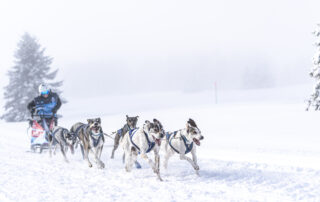 La Grande Odyssée aux Karellis © Romain Tissot