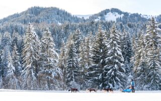 La Grande Odyssée aux Karellis © Romain Tissot