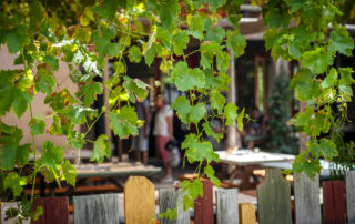 Le Restaurant d’Ardelaine © Ardelaine