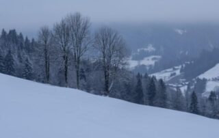 La Grande Odyssée – Etape à La Chapelle d’Abondance_La Chapelle-d’Abondance © DIACRE Benoit