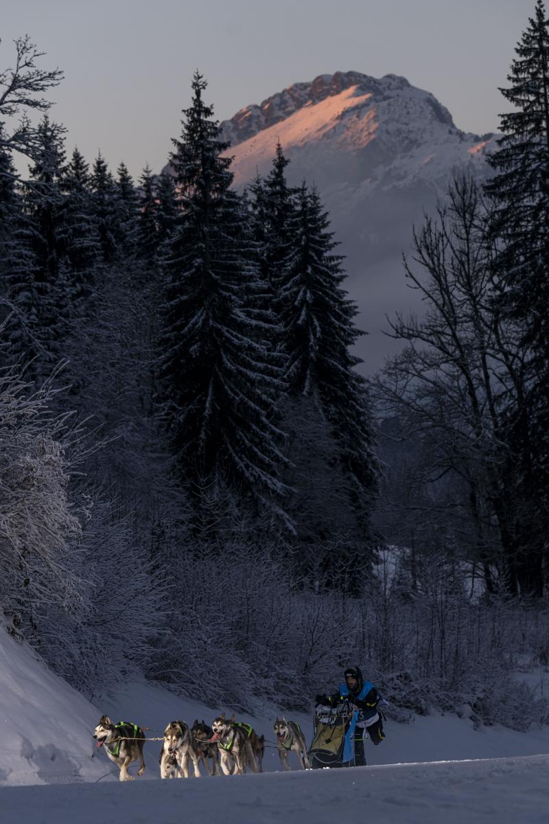 La Grande Odyssée 2025