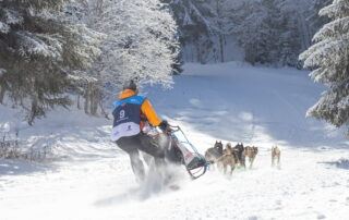 La Grande Odyssée Royal Canin : 3ème étape_Les Déserts © francois-xavier-repellin