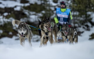 La Grande Odyssée Royal Canin : 3ème étape_Les Déserts © Benoît Diacre