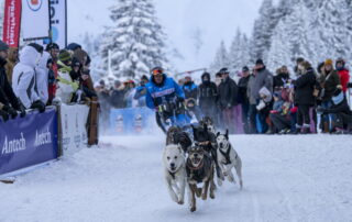 La Grande Odyssée Royal Canin : 3ème étape_Les Déserts © Benoît Diacre